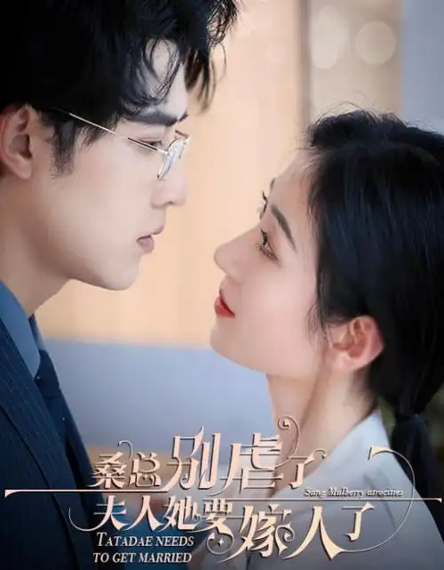 剧集无声辩护海报